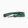 Green Leash