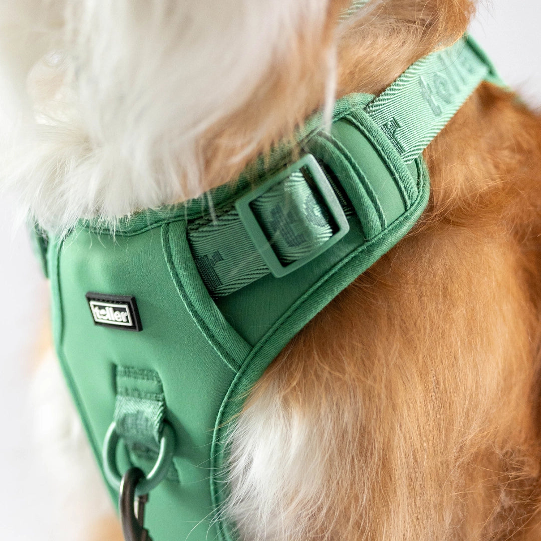 Green Harness