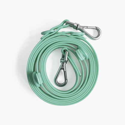 Mint green dog leash with metal clip on a white background
