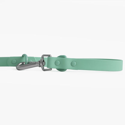 Mint green dog collar with a silver buckle on a white background