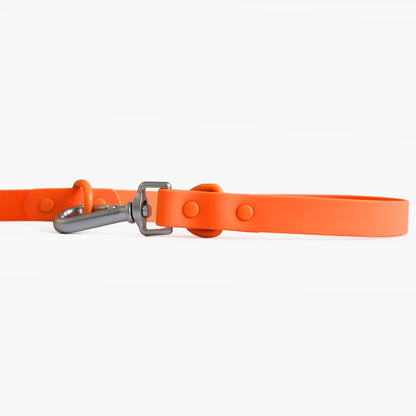Orange dog collar with a silver clasp on a white background