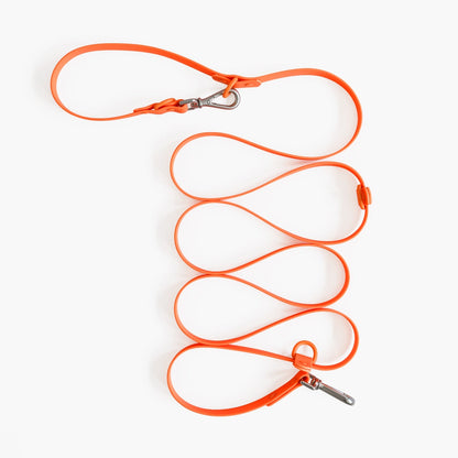 Orange dog leash with metal clips on a white background
