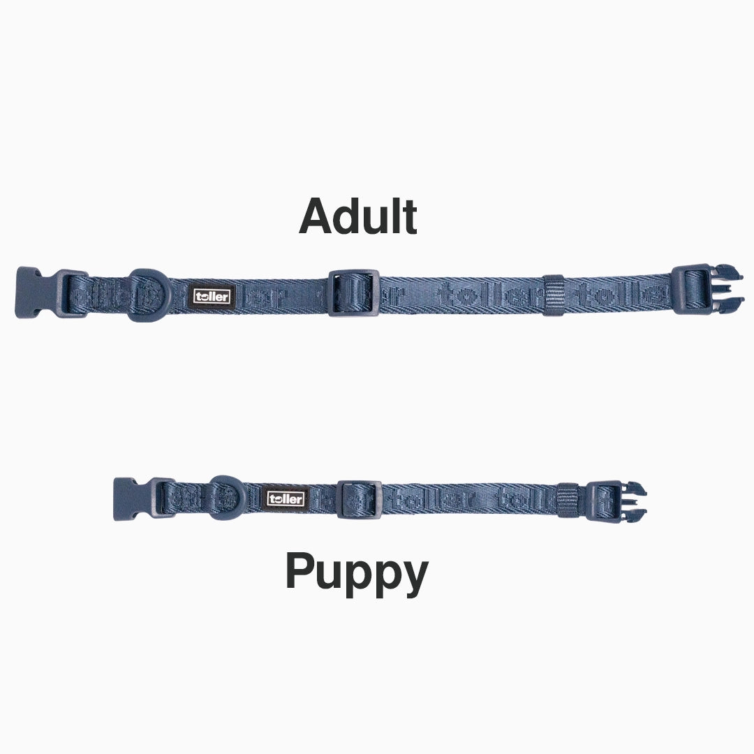 Adult vs puppy Navy collar comparison 