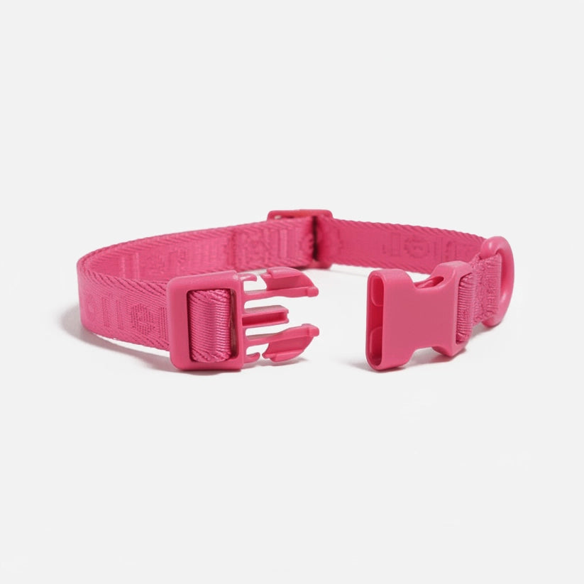 Pink dog collar with a buckle on a light gray background