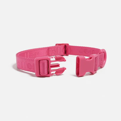 Pink dog collar with a buckle on a light gray background