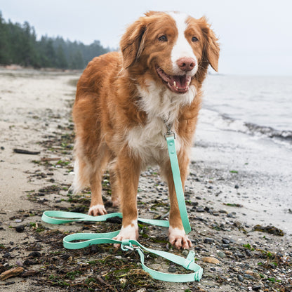 Mint Green Handsfree Leash
