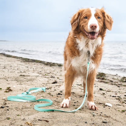 Mint Green Handsfree Leash