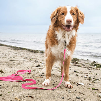 Pink Handsfree Leash