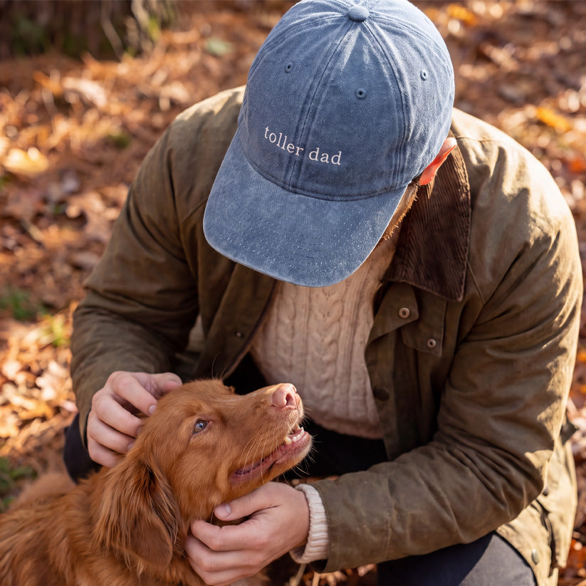 Toller Dad Cap Sky Blue