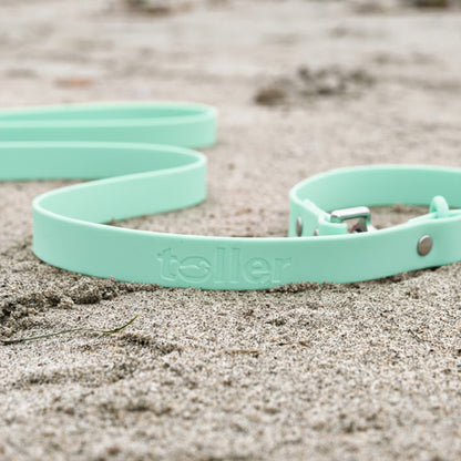 Mint Green Handsfree Leash