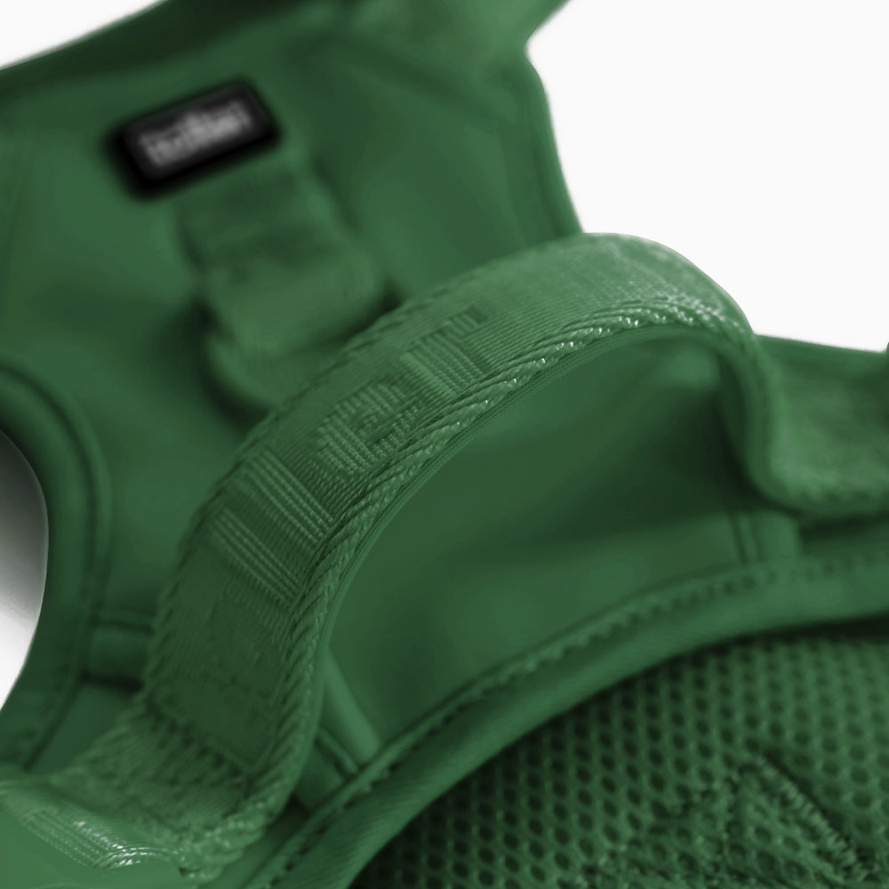 Green dog harness with brand label on a white background