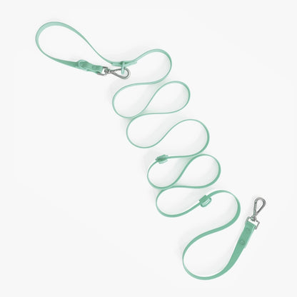 Mint green dog leash with metal clips on a white background