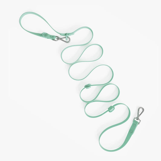 Mint green dog leash with metal clips on a white background