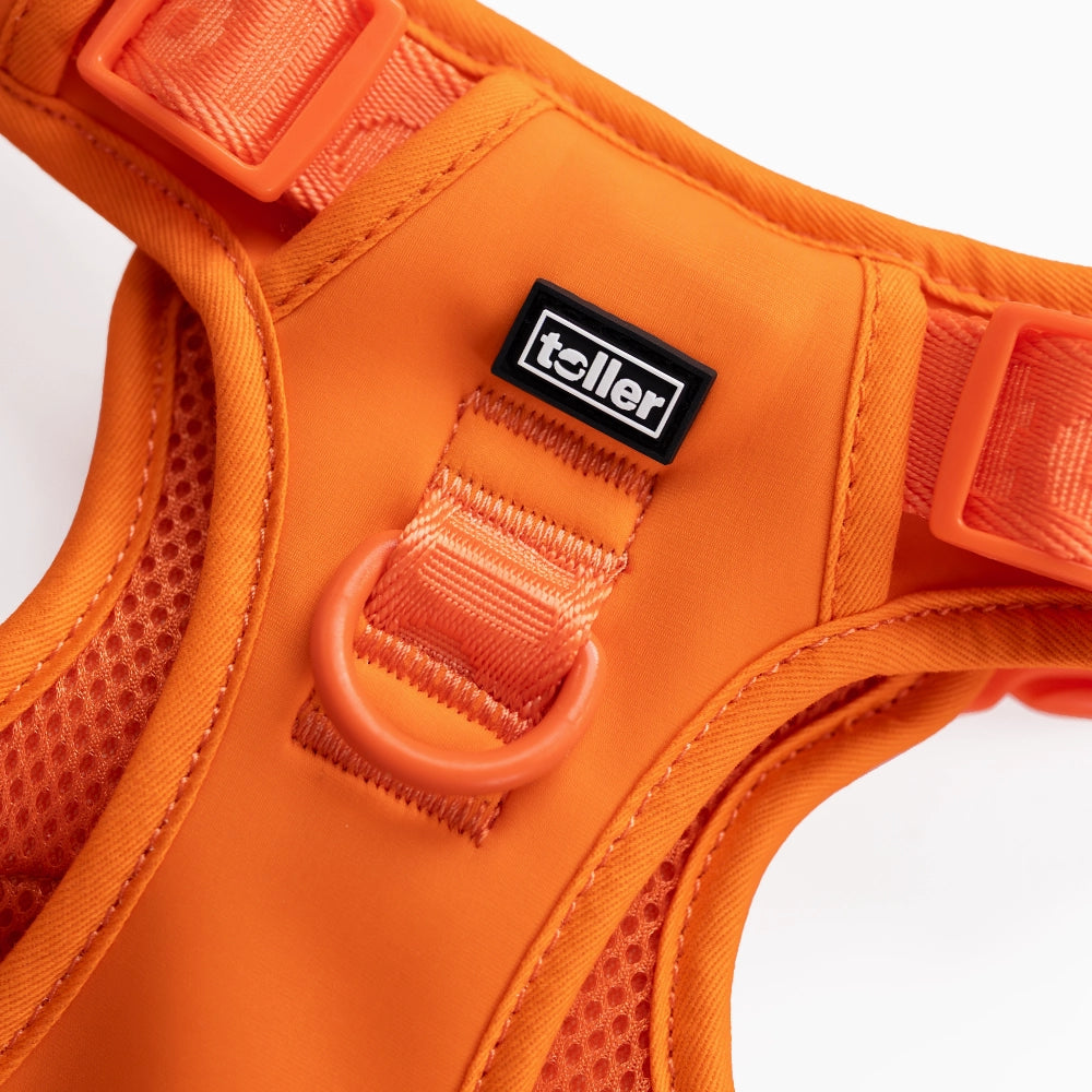 Orange dog harness with a visible 'Rolle' brand label on a white background