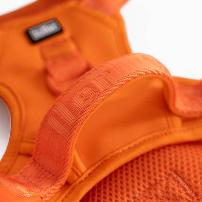 Close-up of an orange dog harness with a brand label on a white background