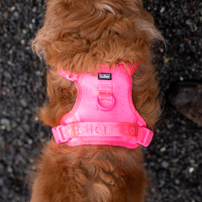 Pink Harness (Clip Fit)