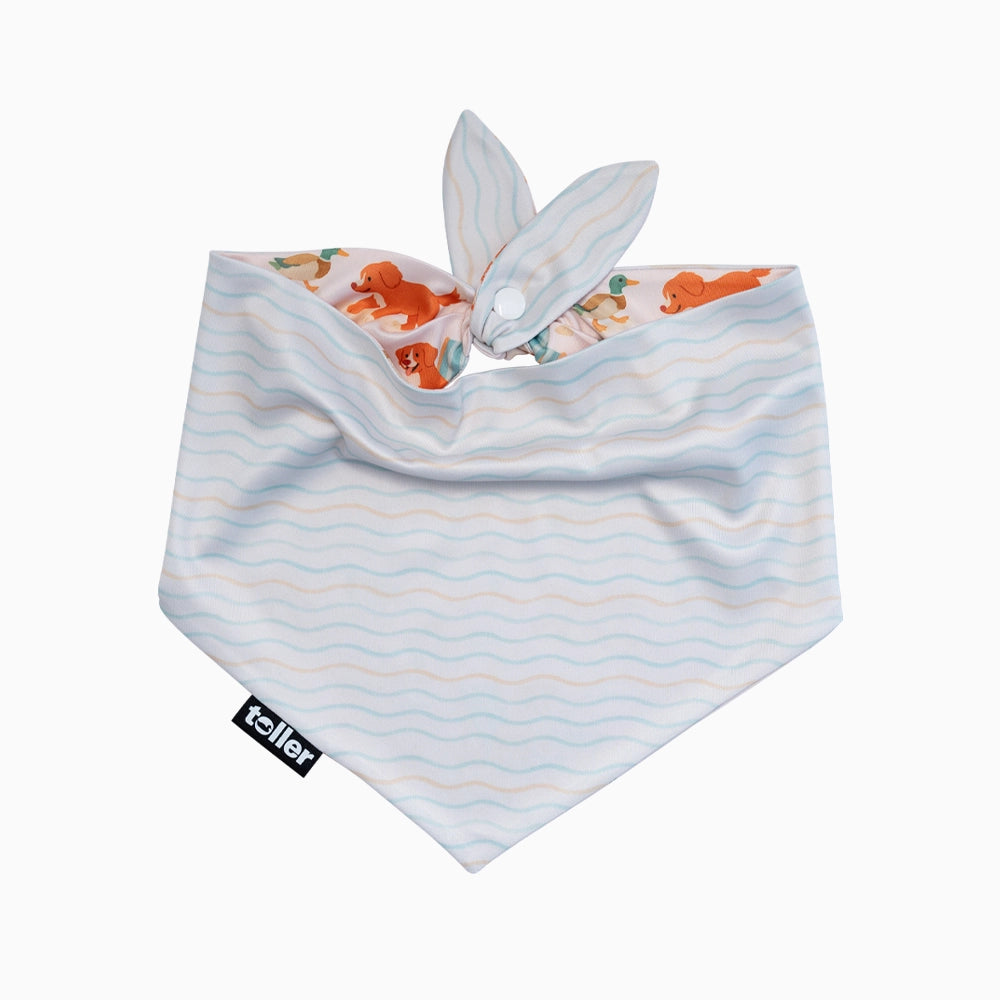 Striped dog bandana on a white background