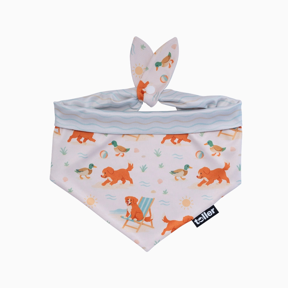 Dog bandana with cartoon designs and 2 in 1 print on a white background
