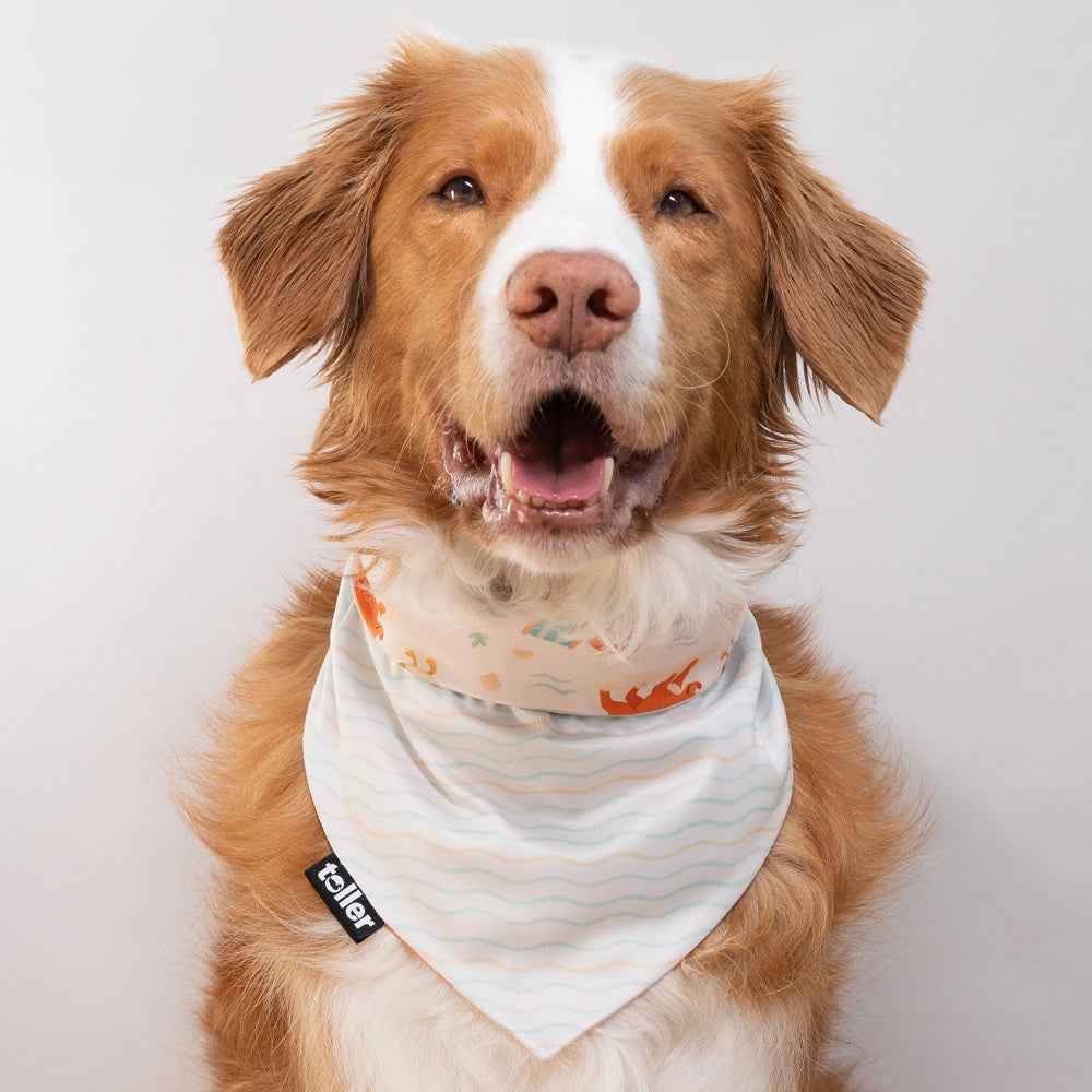 Dog wearing a bandana with a visible brand logo on a plain background