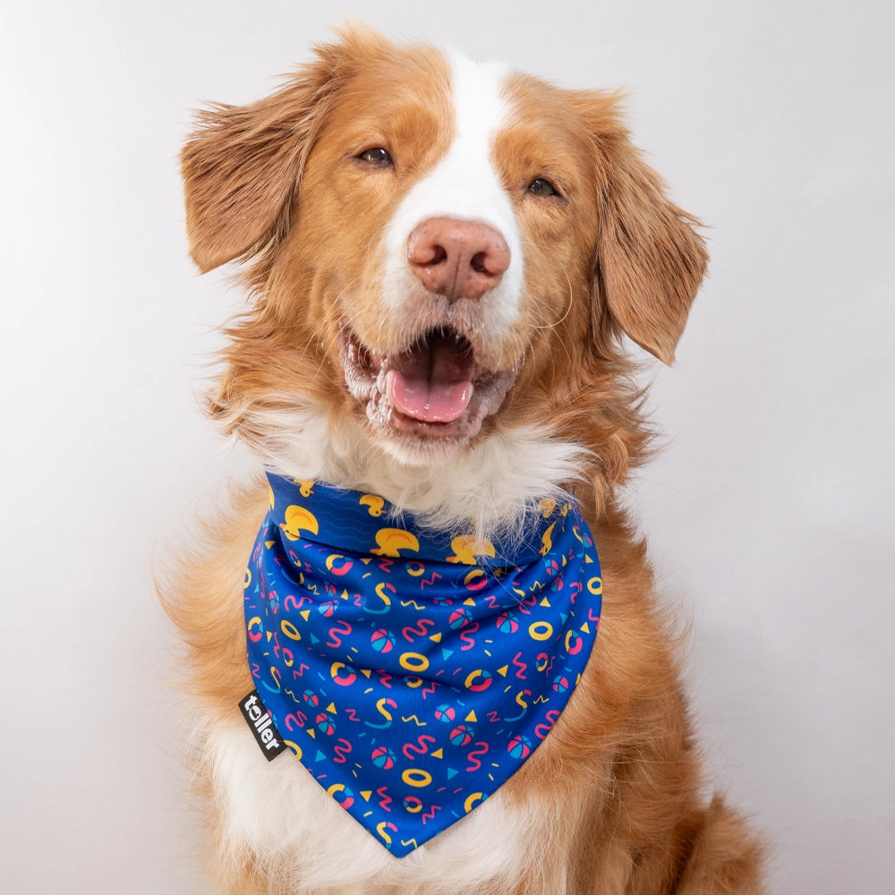 'What The Duck' 2-in-1 Dog Bandana