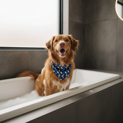 Dog sitting in a bathtub with a blue bandana, looking happy.