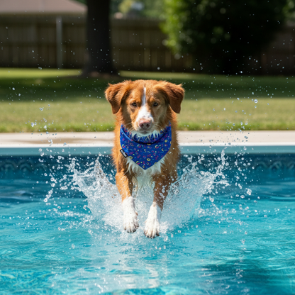 Dog running into a pool with water splashing around